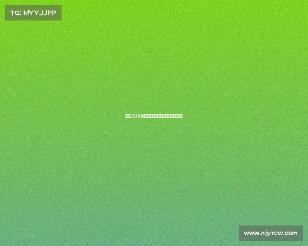 霍尔2500万镑加盟埃弗顿切尔西中场转会完成